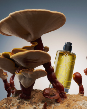 Studio shot of a perfume bottle next to large wild mushrooms, brown, yellow, and red colors, for beauty or fashion industry use.