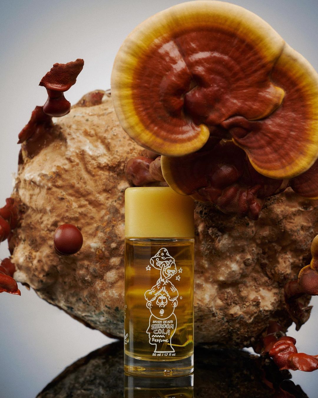 A close-up studio shot features a bottle of perfume positioned in front of a beige and brown mushroom cluster for a beauty advertisement.