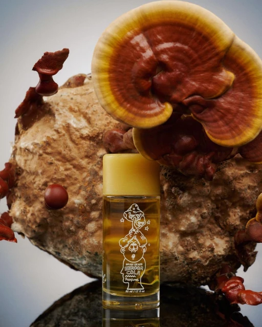 A close-up studio shot features a bottle of perfume positioned in front of a beige and brown mushroom cluster for a beauty advertisement.