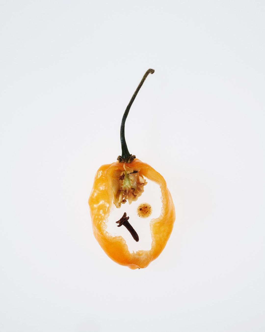 Studio shot of a cross-section of an orange habanero pepper containing cloves on a white backdrop. Culinary, food, and cooking visuals.