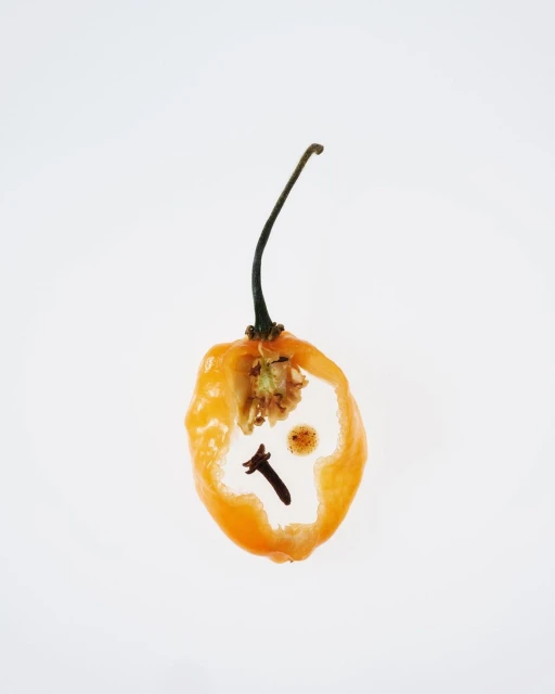 Studio shot of a cross-section of an orange habanero pepper containing cloves on a white backdrop. Culinary, food, and cooking visuals.