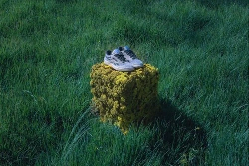 Pair of athletic shoes displayed on a mossy stone, set outdoors in lush green grass. A product shot featuring footwear.