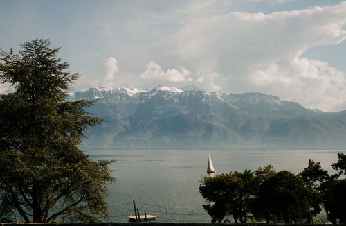 Landscape of Lake Geneva with a sailboat on the water, trees in the foreground, and snow-capped mountains in the background under a cloudy sky.