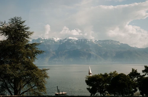 Landscape of Lake Geneva with a sailboat on the water, trees in the foreground, and snow-capped mountains in the background under a cloudy sky.