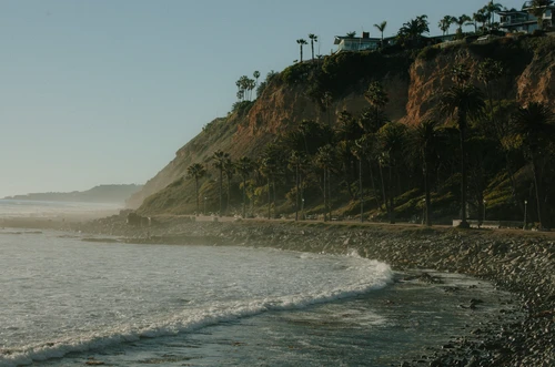Coastal view of palm trees along a cliffside road next to the ocean with waves breaking on a rocky shoreline in California.