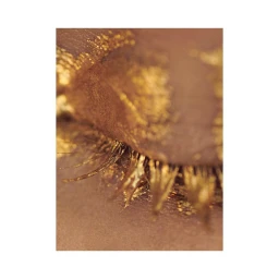 Close-up macro shot of a closed human eye with heavy gold foil eyeshadow and gilded eyelashes by Eva Schwank.