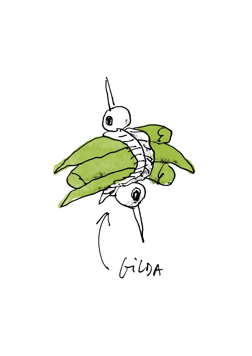 Illustration of a 'Gilda' pintxo, a skewer with olives, pickled pepper, and anchovy, presented in a simple, artistic style on white.