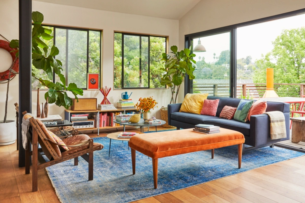 Modern living room interior with dark blue sofa, orange upholstered bench, large fiddle leaf fig plants, and large glass windows.
