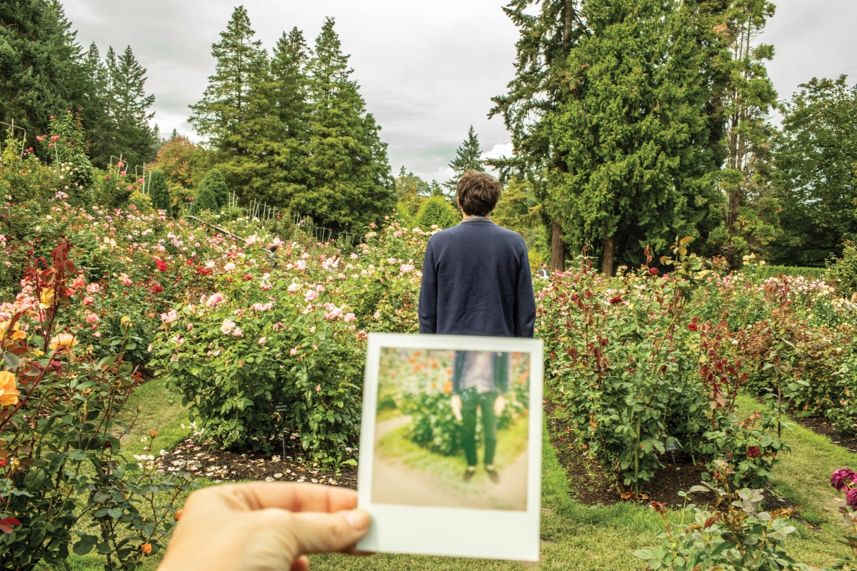 Person looks at a rose garden through instant photo. Flowers in bloom, forest background, outdoor daytime scene, natural light, person holding photo.