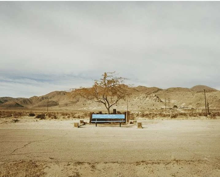 Scenic desert landscape featuring a blue bench under a tree, set against a backdrop of rolling hills and a cloudy sky in a neutral palette.
