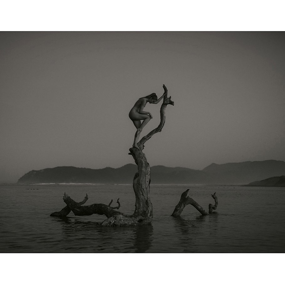 Monochrome seascape with nude adult female figure standing on a tree trunk in water, silhouetted against a misty sky and distant shore.