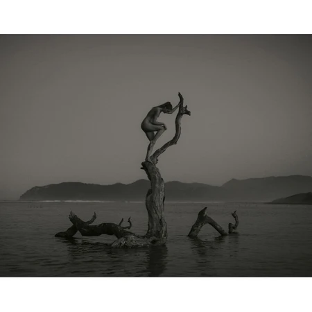 Andrew Macpherson