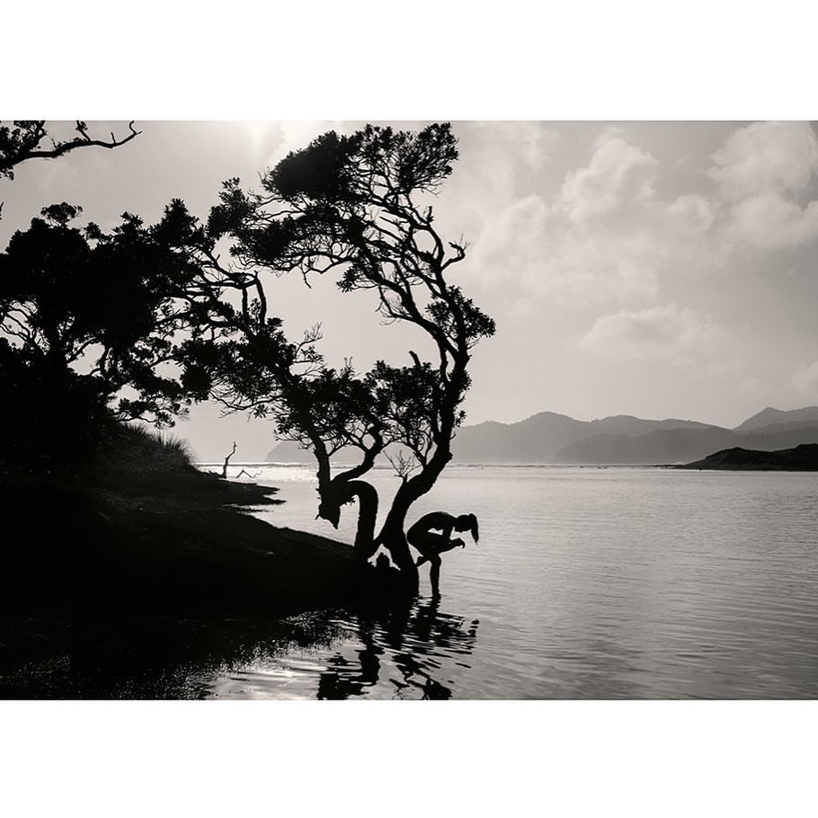 Monochrome landscape of silhouetted tree and person at the water's edge, backed by mountains under a cloudy sky, creating a serene scene.