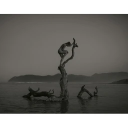 Monochrome photograph of a person perched high atop a weathered driftwood branch in calm water under a muted sky.