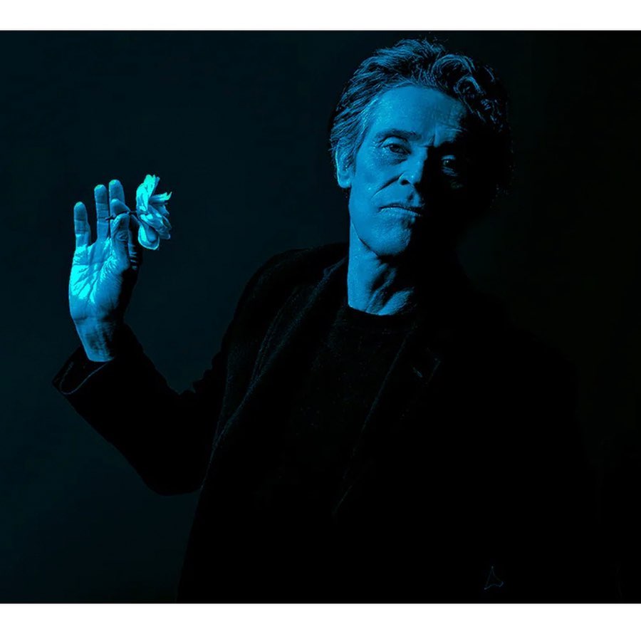 Portrait of an adult man with gray hair in a black coat, illuminated by blue light and holding a bright white flower in his hand.