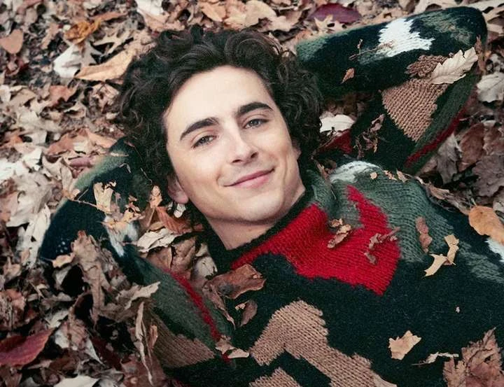Adult male smiling while lying on his back surrounded by autumn leaves in a forest-like setting, wearing a patterned wool sweater.