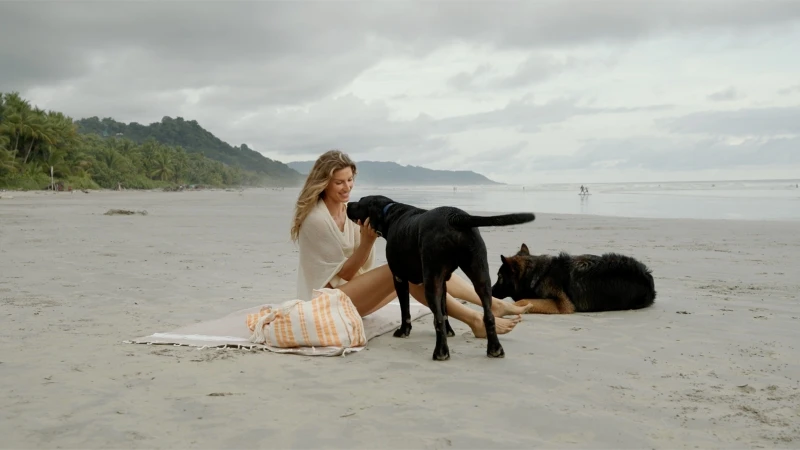 Adult woman sits on the beach with two dogs, one black Labrador and one German Shepherd; trees are visible in the background.