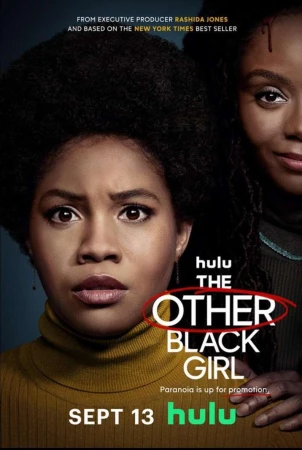 Movie poster for Hulu's 'The Other Black Girl' featuring two African American women with large afro hairstyles. The title is circled in red.