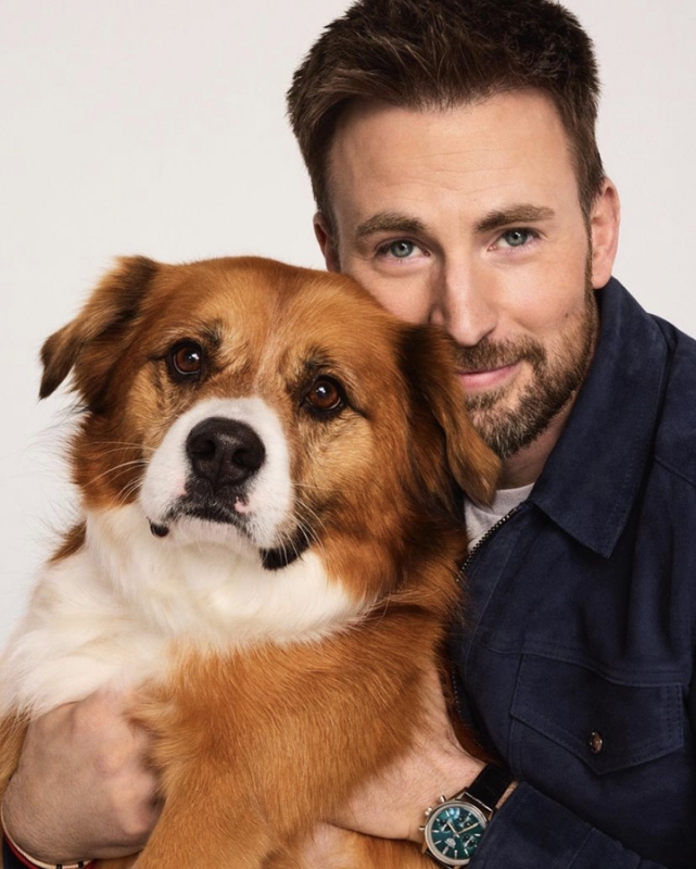 Close-up portrait of a smiling adult male in a blue jacket embracing a brown and white dog against a neutral backdrop.