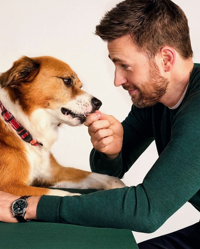 Adult man feeding dog. Man with short brown hair wearing green long-sleeved shirt. Dog is brown and white with a red collar.