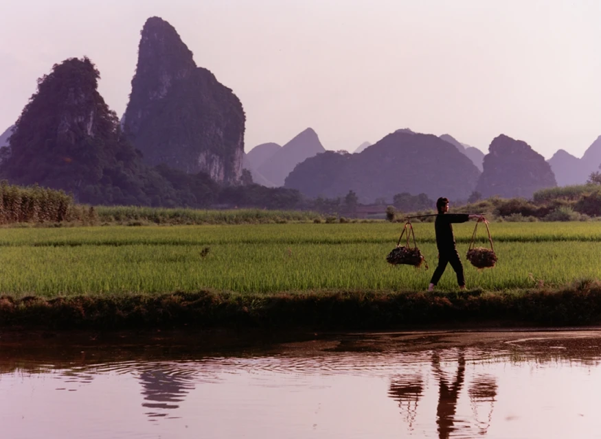 Adult carries baskets along a rice field with mountains in the background during daytime, a landscape shot.