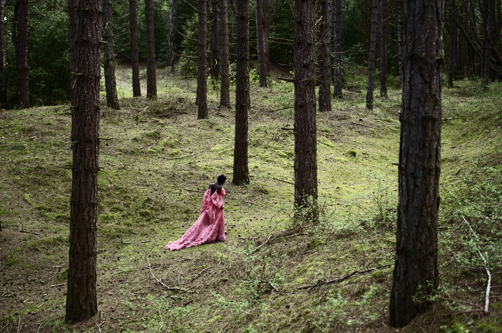 Woman in a flowing pink gown walks through a dense forest with tall, thin trees, the gown's train trailing on the mossy ground.