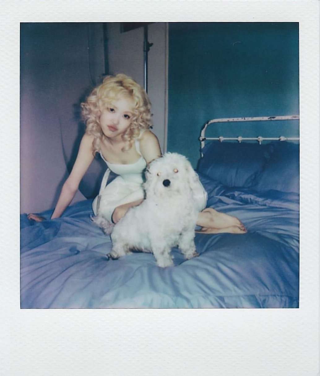 Young fair-skinned woman with blonde curly hair poses indoors on a blue bed with a white dog. Moody indoor lighting.