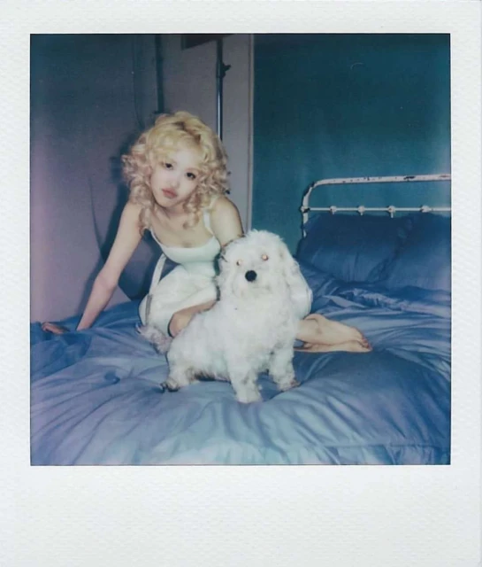 Young fair-skinned woman with blonde curly hair poses indoors on a blue bed with a white dog. Moody indoor lighting.