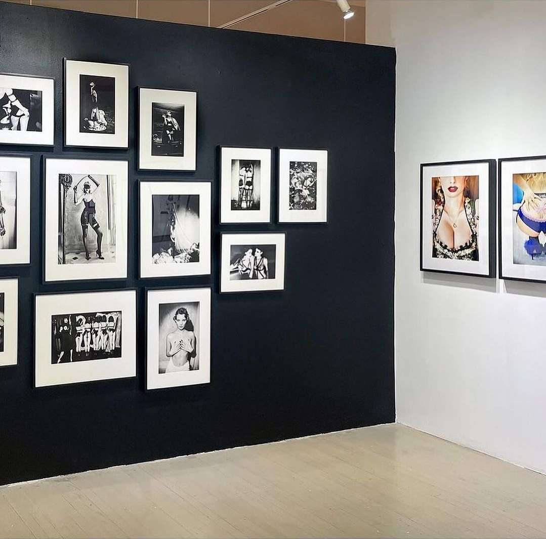 Art gallery featuring framed photographs on a dark blue wall, showcasing various subjects and styles in a well-lit space.
