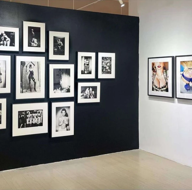 Art gallery featuring framed photographs on a dark blue wall, showcasing various subjects and styles in a well-lit space.