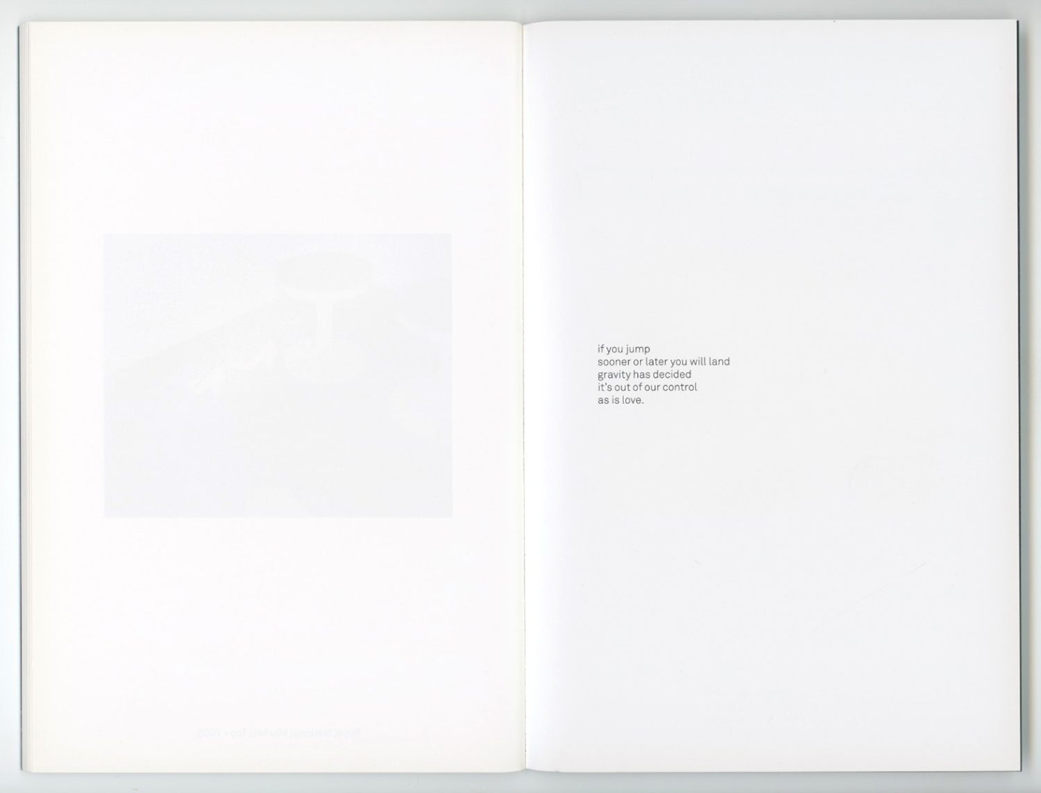Open book with a blurred abstract image on the left page and centered minimalist text on the right page against a white background.