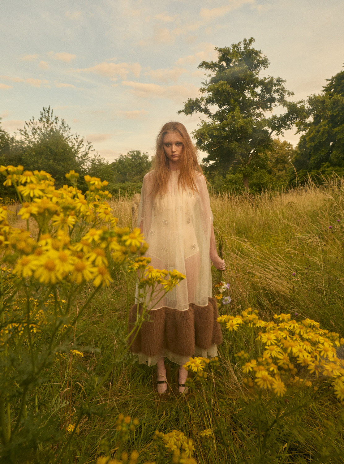 Woman in a flowing, sheer dress stands in a field of yellow flowers and tall grasses under a sky with light, scattered clouds.