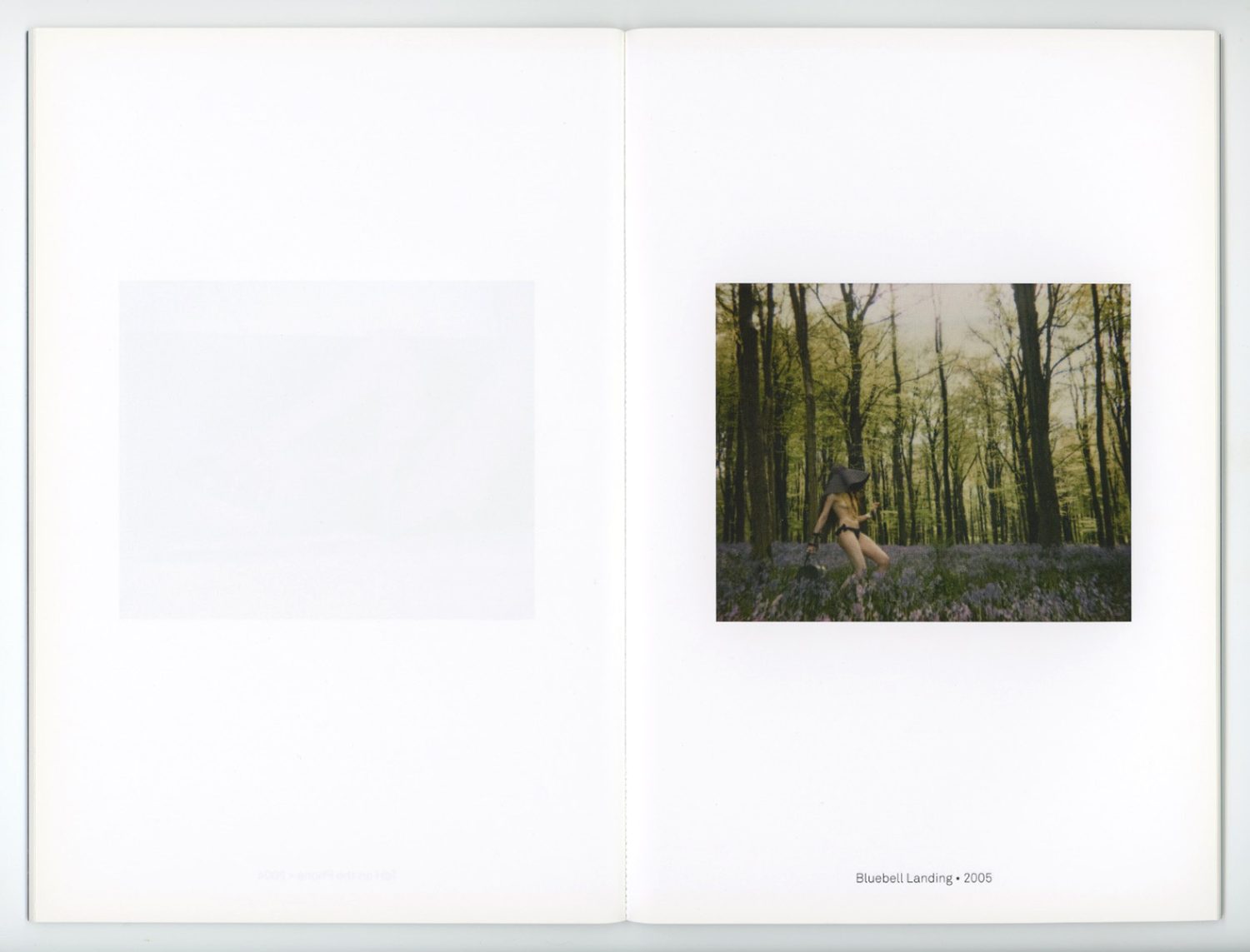 Woman in a hat sits in a forest with bluebells in an artistic, soft-focus fine-art portrait style on a magazine double spread page.