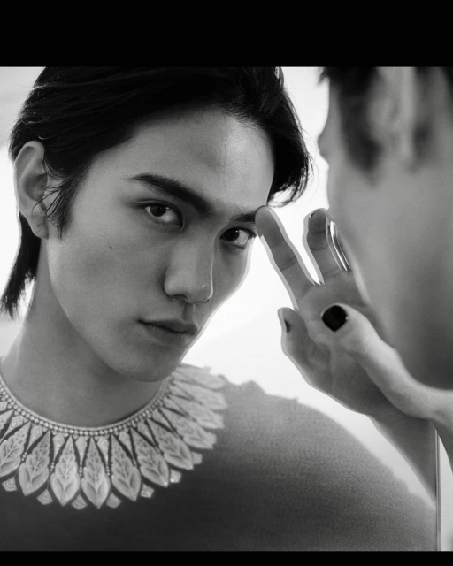 Black and white portrait of a young adult male looking into a mirror, wearing an ornamental collar necklace, and touching the reflective surface.