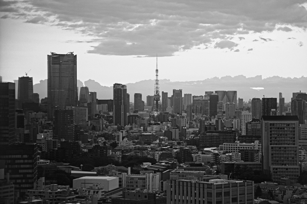 Monochromatic cityscape aerial panorama featuring skyscrapers, a communications tower, and residential buildings under an overcast sky.