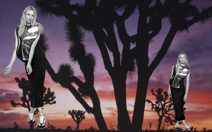 Two fashion models in a desert landscape with Joshua trees silhouetted against a sky with purple and orange hues at sunset.