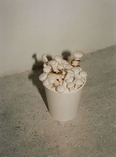 Still life of shimeji mushrooms in a paper cup, adorned with gold rings and ear cuffs, against a neutral wall and speckled floor.