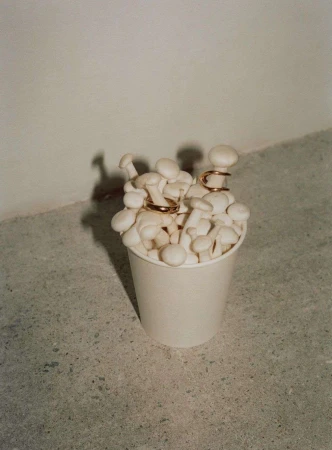 Still life of shimeji mushrooms in a paper cup, adorned with gold rings and ear cuffs, against a neutral wall and speckled floor.
