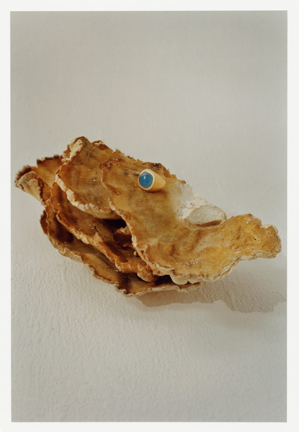 Abstract rock and crystal formation, set against a pale background in a studio shot, showcasing textures and neutral tones.