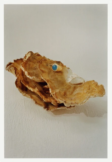 Abstract rock and crystal formation, set against a pale background in a studio shot, showcasing textures and neutral tones.