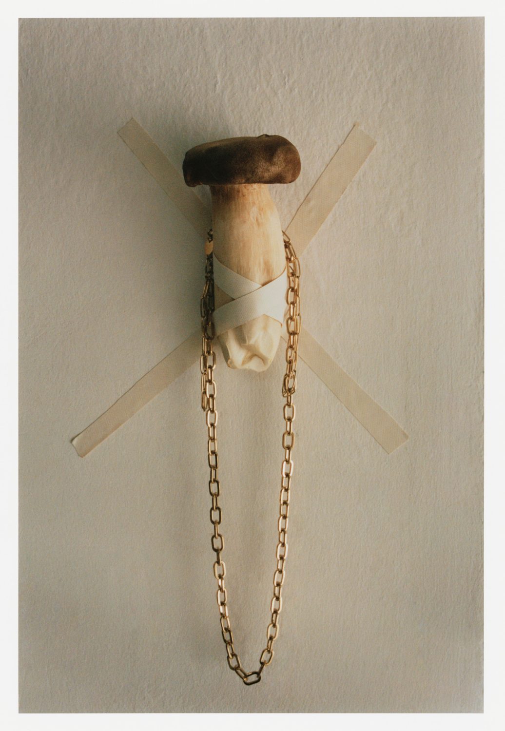 A mushroom taped to a textured wall with a gold chain draped around it