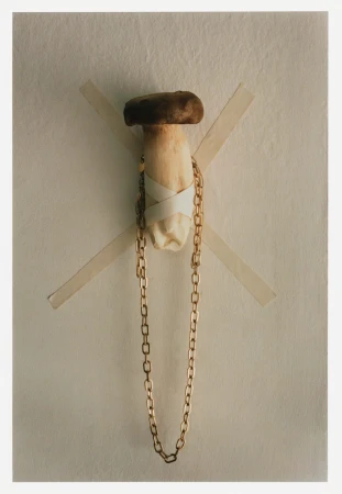 A mushroom taped to a textured wall with a gold chain draped around it