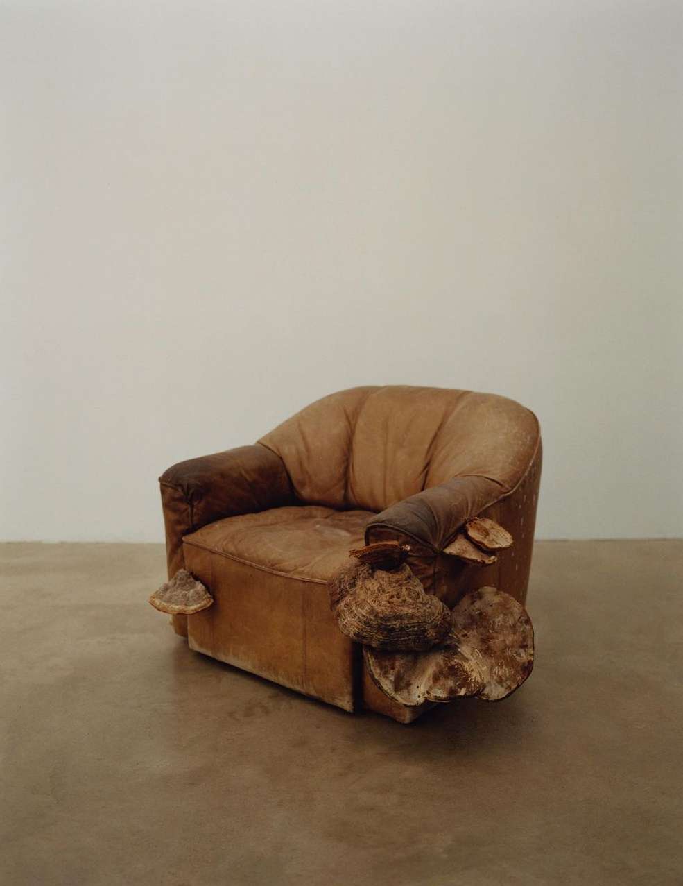 An armchair is covered with fungus, set against a neutral backdrop. The organic growth contrasts with the furniture's aged, upholstered design.