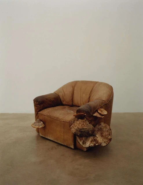 An armchair is covered with fungus, set against a neutral backdrop. The organic growth contrasts with the furniture's aged, upholstered design.