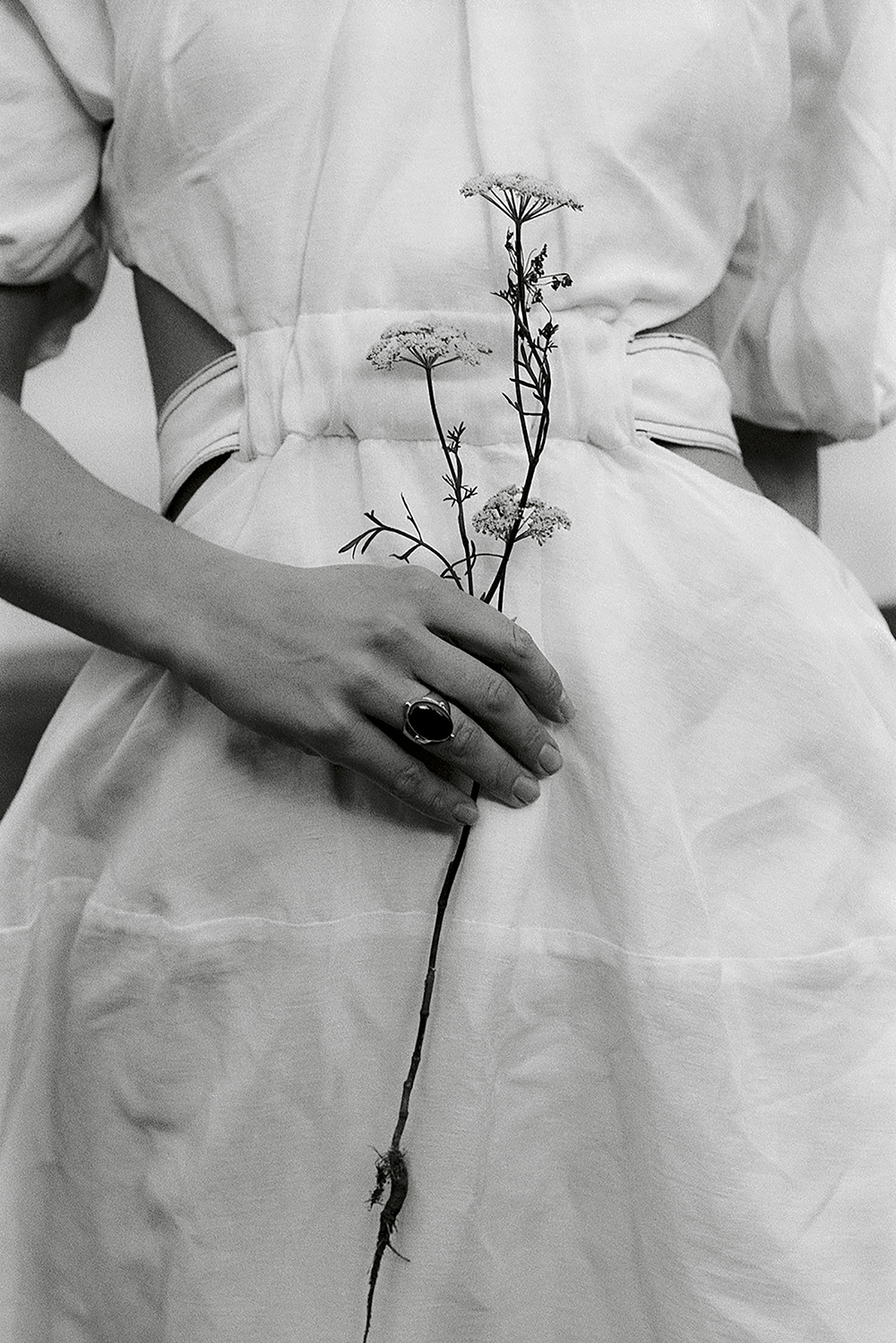 Monochrome image: A woman in a white dress holds white Queen Anne's lace flowers in her hand with a ring, soft lighting.