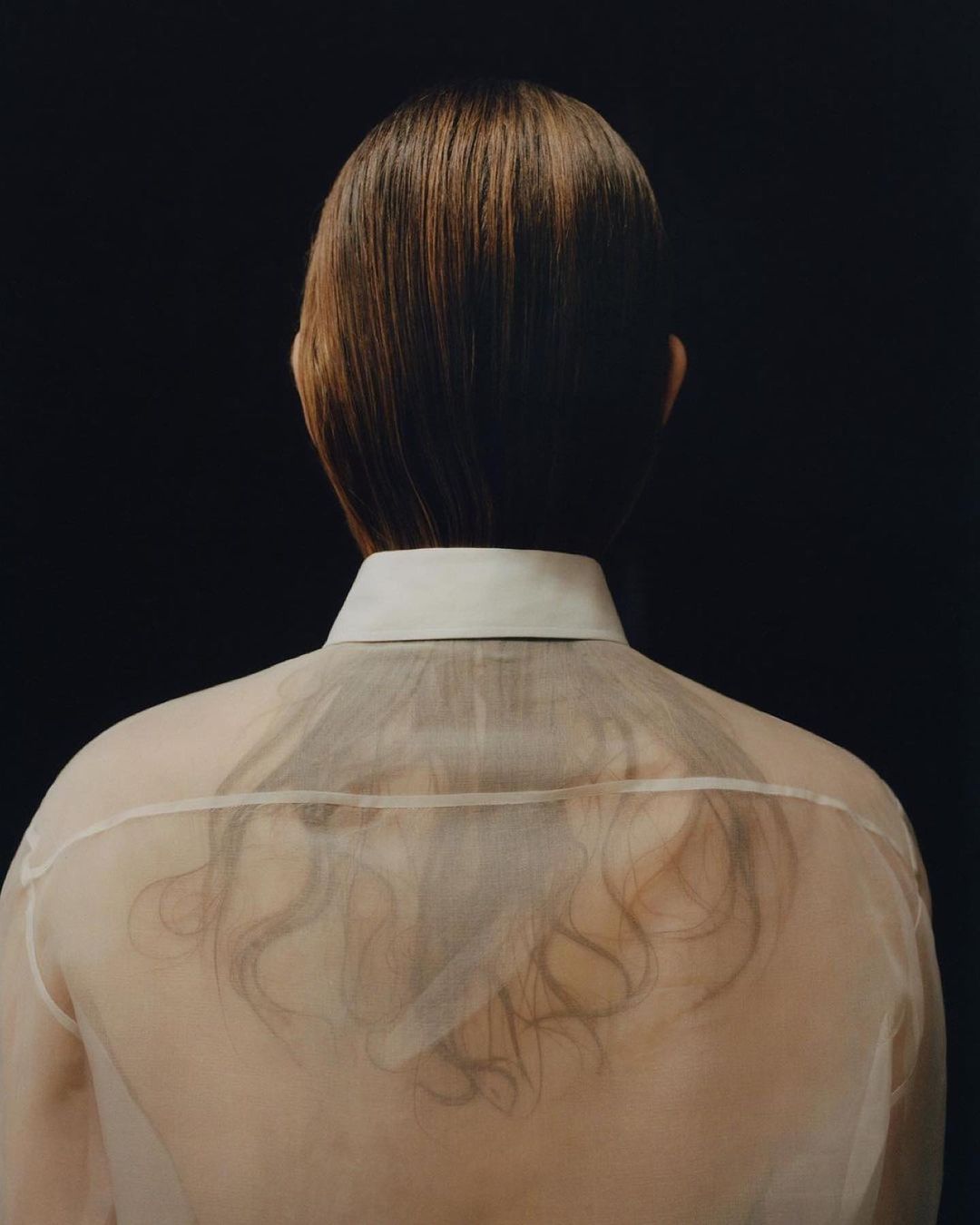 Rear view of a person wearing a sheer white button-down shirt with straight brown hair falling down the back against a dark background
