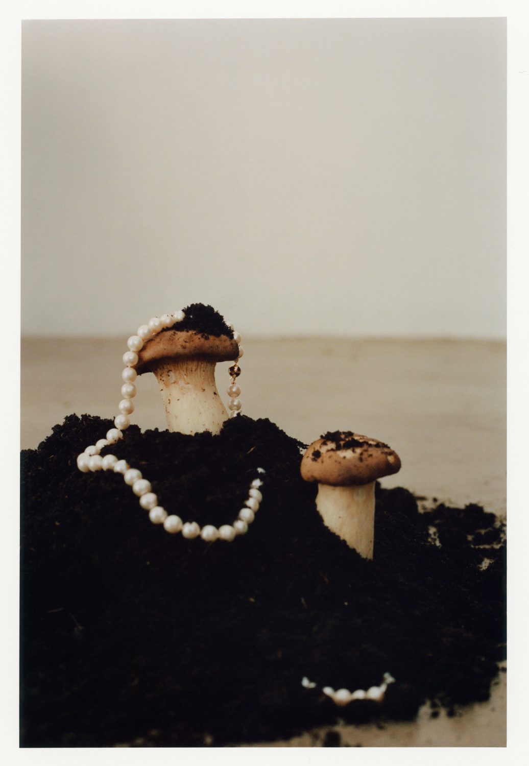 Two mushrooms stand in dark soil, one adorned with a pearl necklace against a neutral backdrop, creating a surreal, organic jewelry display.