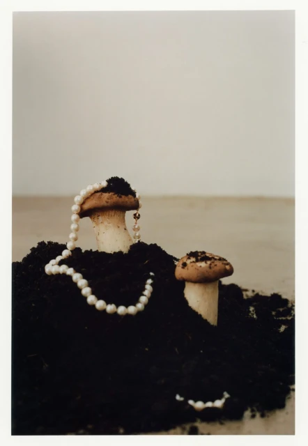 Two mushrooms stand in dark soil, one adorned with a pearl necklace against a neutral backdrop, creating a surreal, organic jewelry display.