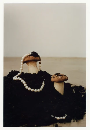 Two mushrooms stand in dark soil, one adorned with a pearl necklace against a neutral backdrop, creating a surreal, organic jewelry display.