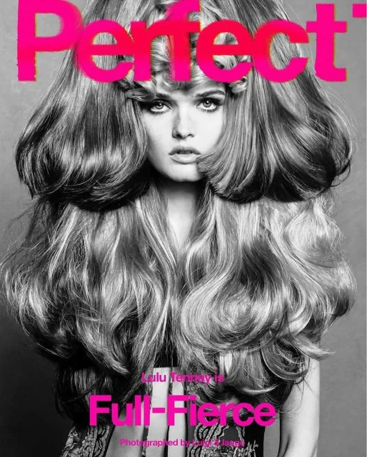 Editorial fashion shot featuring a model with elaborate blonde hair styled in large wavy sections, against a grey backdrop, magazine cover.